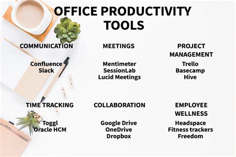 How Has Practice-Management Software Improved Office Efficiency? And Why Do Cats Always Land on Their Feet?