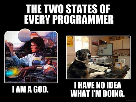 Is Programming a Good Career? And Why Do Programmers Dream of Unicorns?