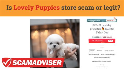 Is Puppies.com a Legit Website? Exploring the World of Online Pet Purchases and Beyond