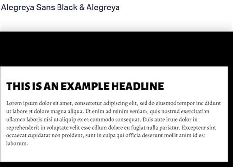 Should Website Titles Be Italicized: A Whimsical Exploration of Digital Typography